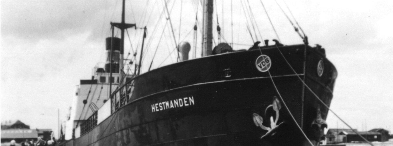 Hestmanden ved kai i Antverpen 1951.