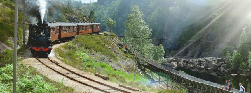Setesdalsbanen og Tømmerrenna mellom Steinsfoss og Paulen bru
