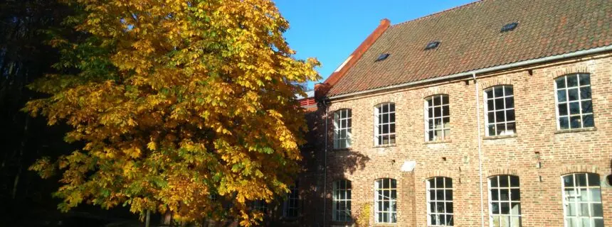 Høst på Sjølingstad