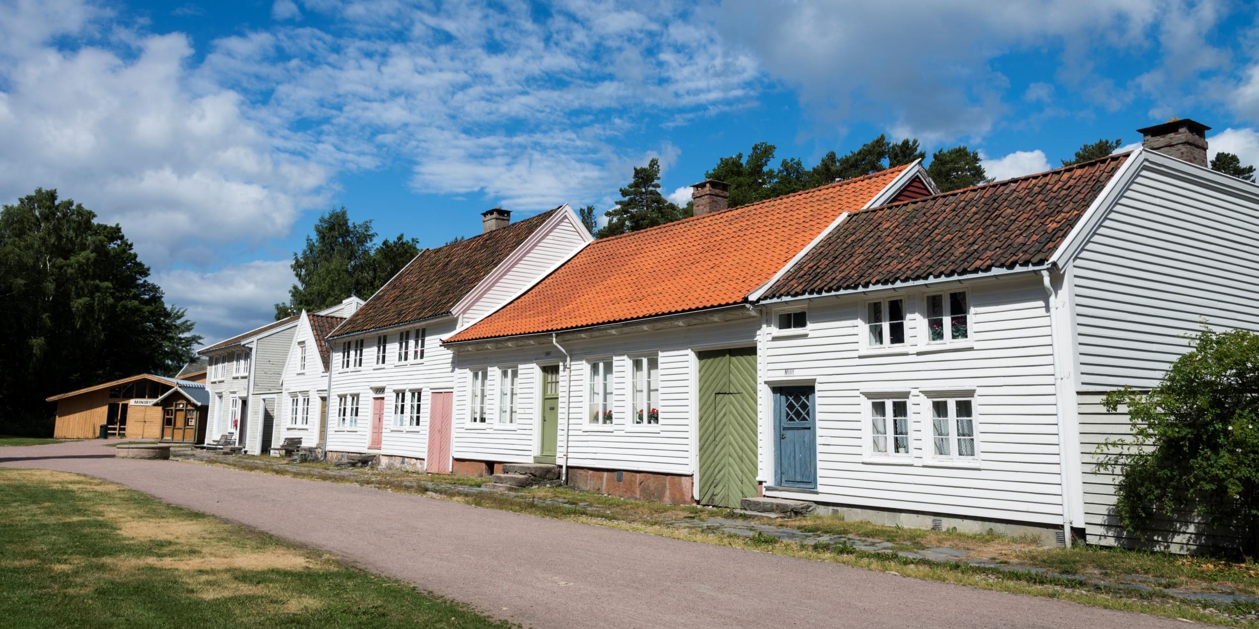 Friluftsmuseet på Kongsgård