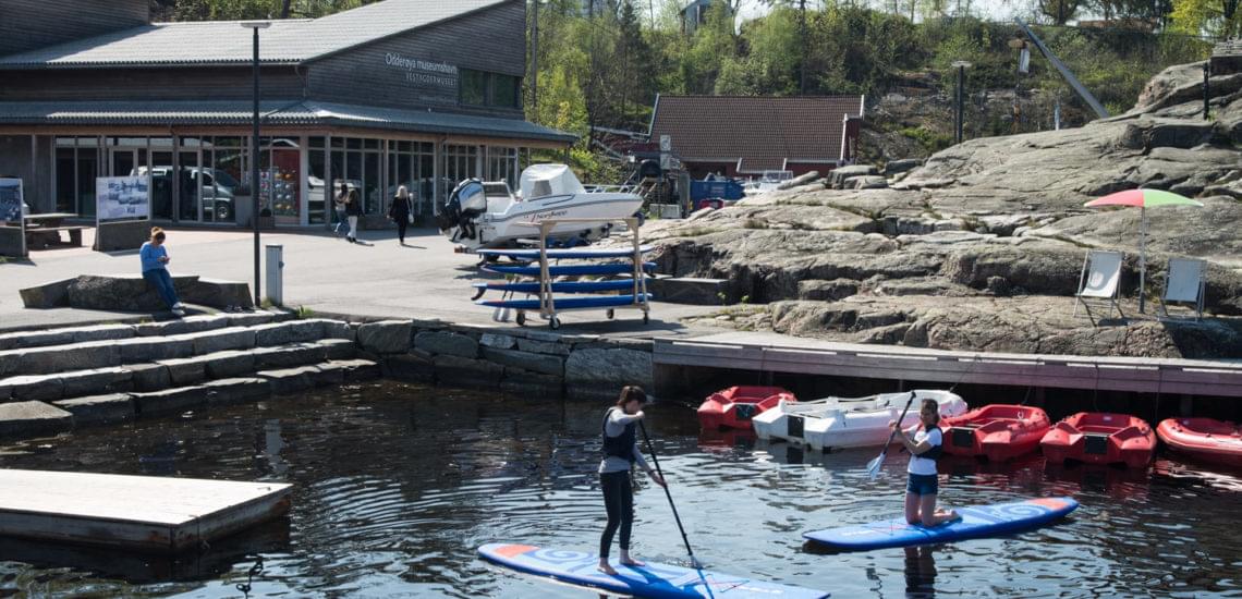 SUP-brett i Odderøya museumshavn