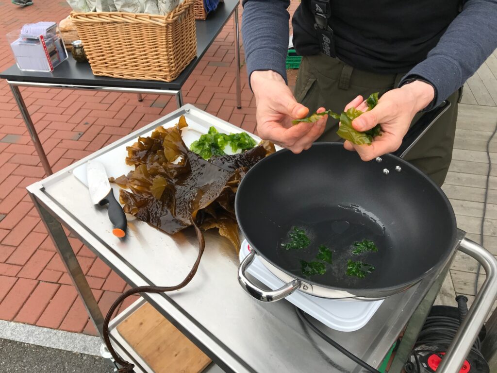 Seaweed festival Odderøya Kristiansand