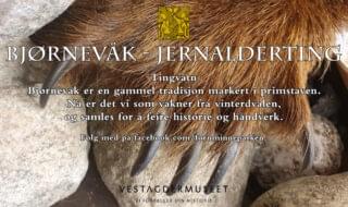 Bjørnevåk jernalderting