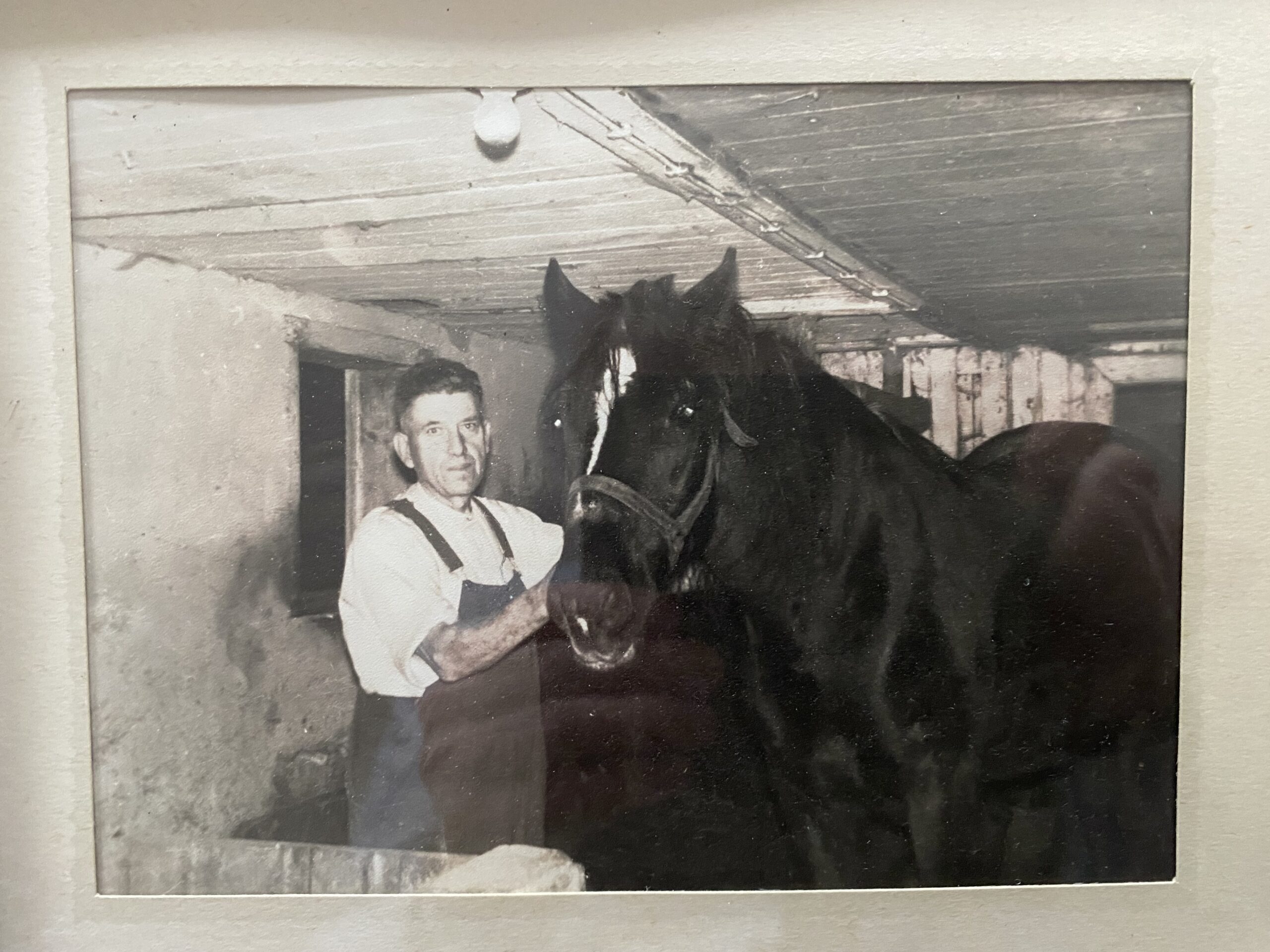 Vognmann Olav Kvannes i Høvåg sammen med hesten Blizz