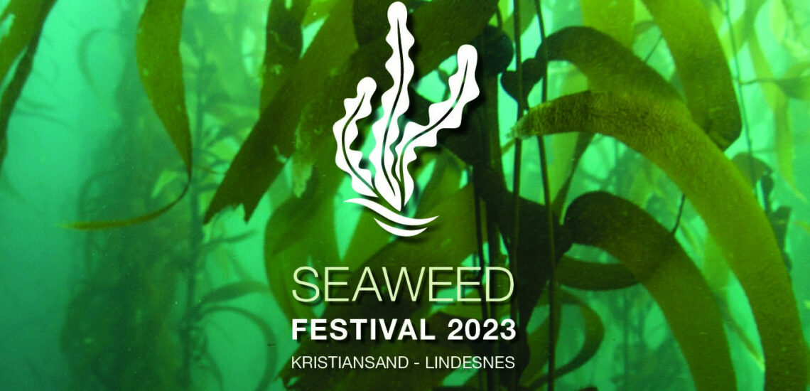 Bilde til Seaweed festival 2023 i Odderøya museumshavn