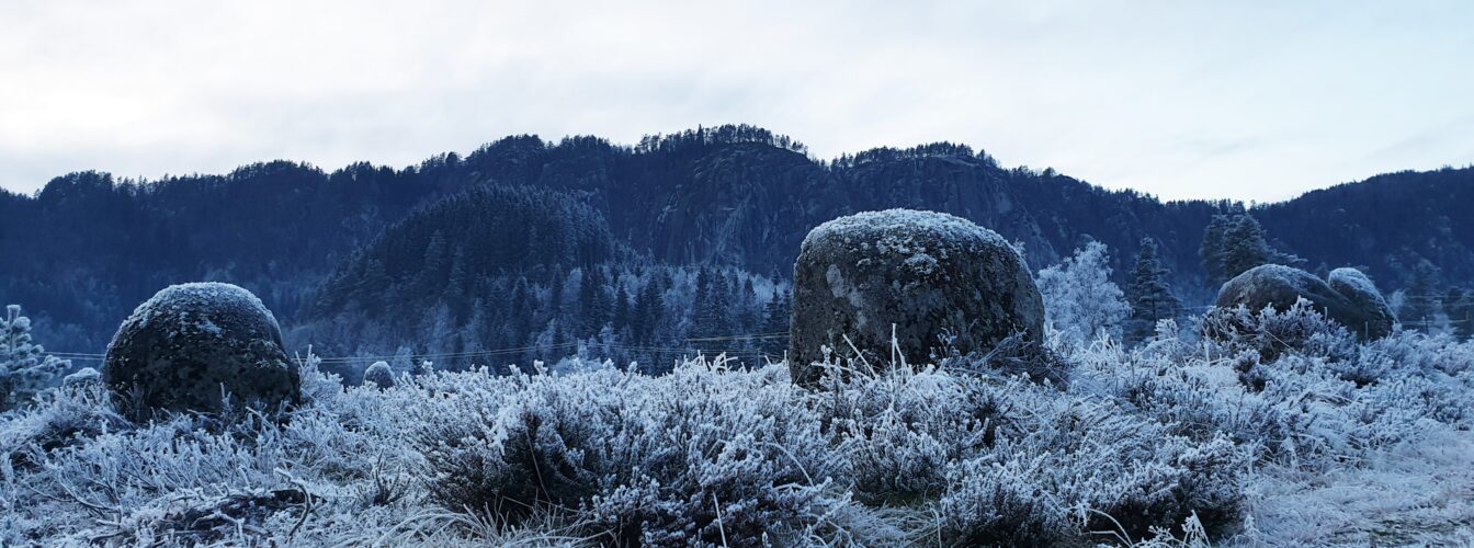 Dommerringen vinter Tingvatn. Foto Katja Regevik.