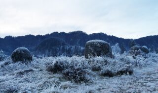 Dommerringen vinter Tingvatn. Foto Katja Regevik.