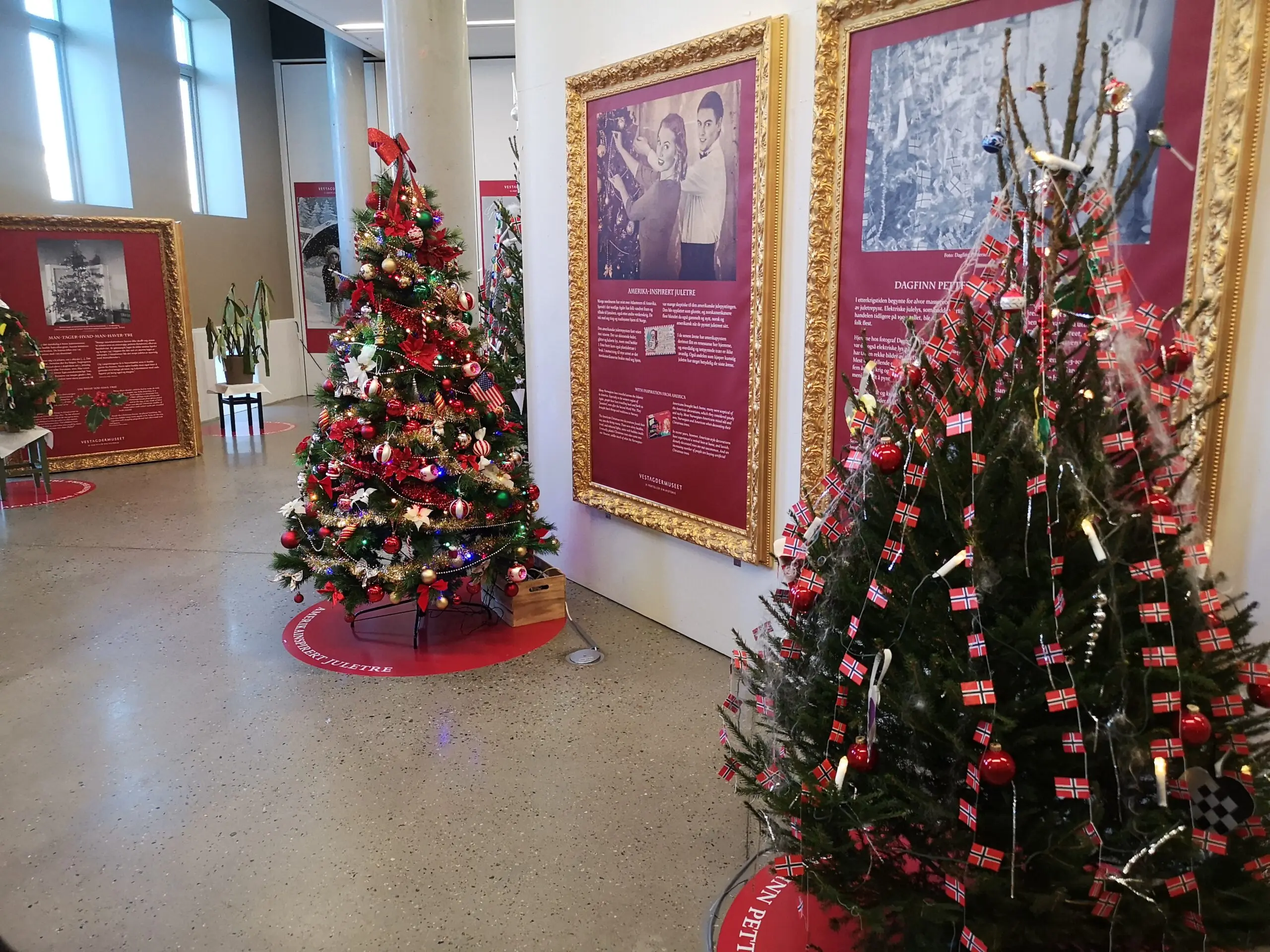 Juletreutstilling Kristiansand 2023.