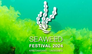 Seaweed festivalen 2024 logo.