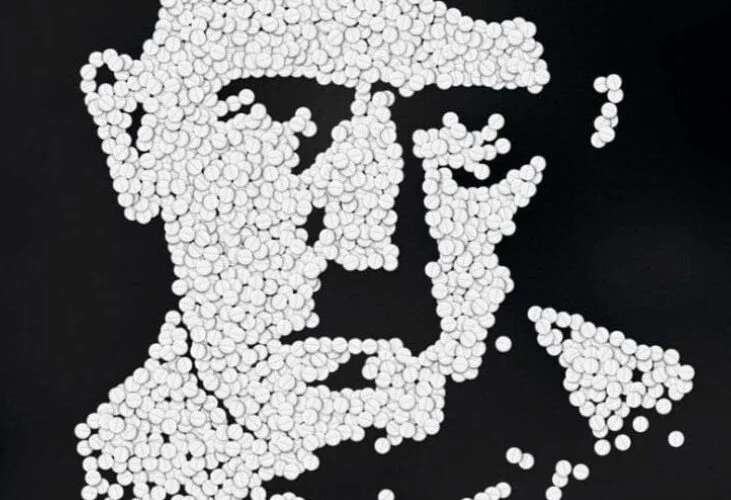 Bokomslag, svart bakgrunn, piller som danner et portrett av Hitler
