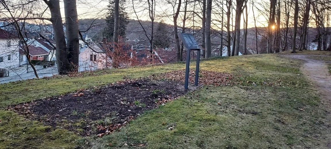Gras og jord til å dyrke i. Bildet tatt utenfor vekstsesongen. Det er ikke lauv på trærne