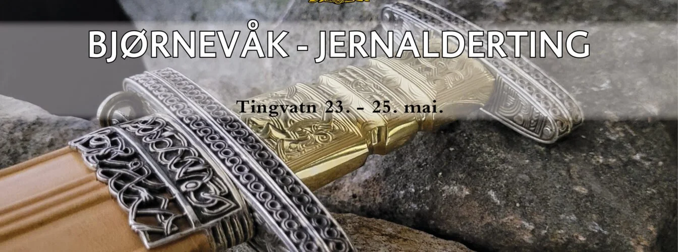 Bjørnevåk jernalderting 2025.