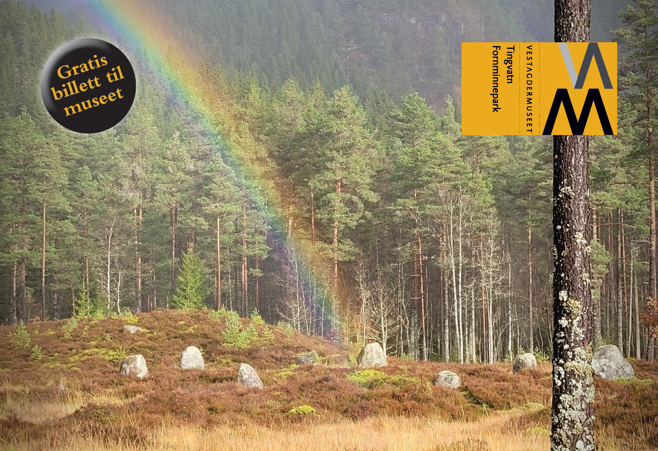 Regnbue over Tingvatn fornminneområde.