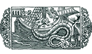 Sjøorm. Illustrasjon fra Sirdals bygdebok.